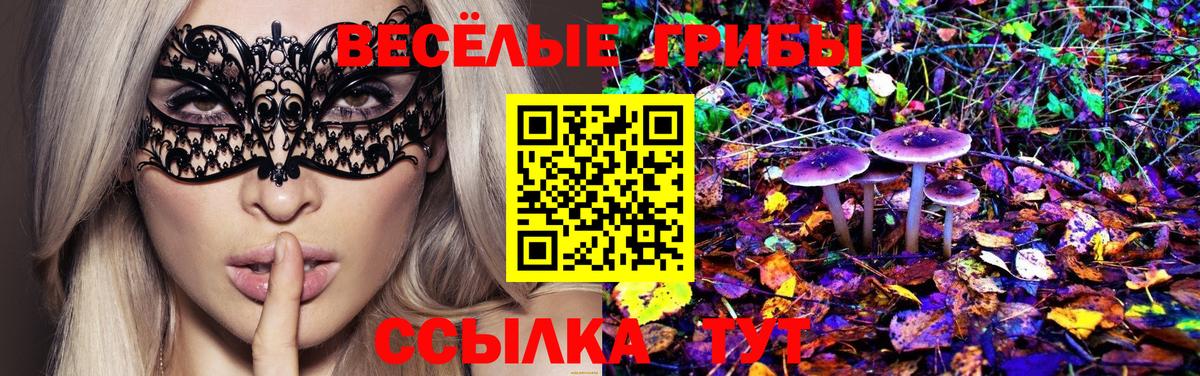 Псилоцибиновые грибы мухоморы Пушкино