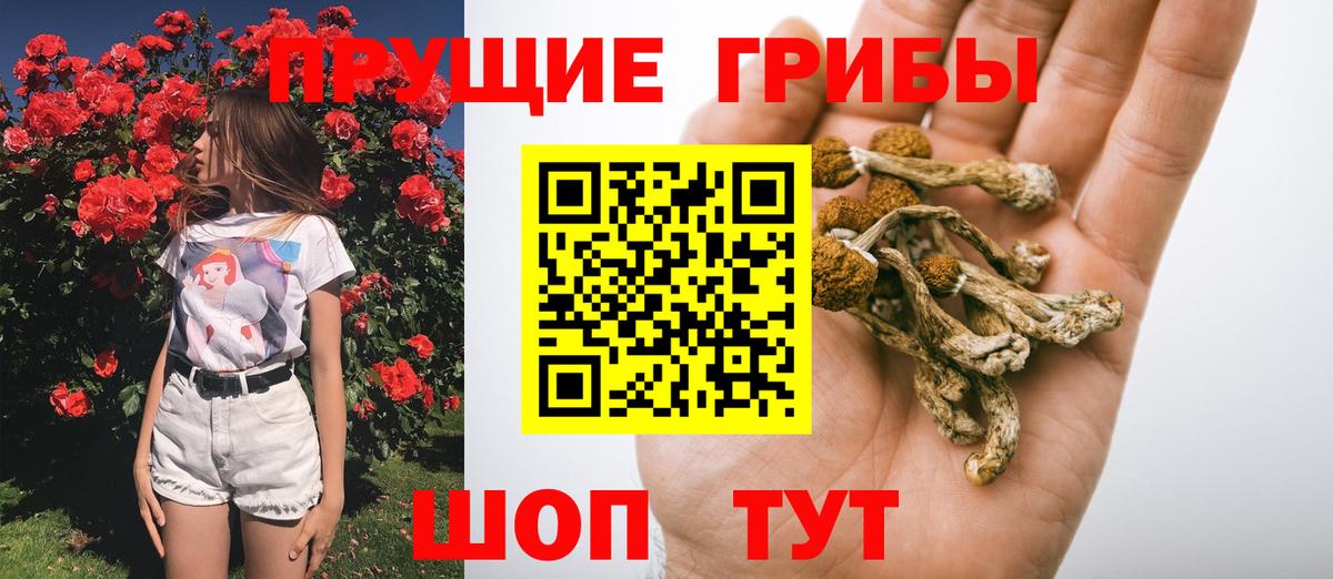 Псилоцибиновые грибы мицелий  Вход с VPN  Галлюциногенные грибы прущие грибы  Пушкино 